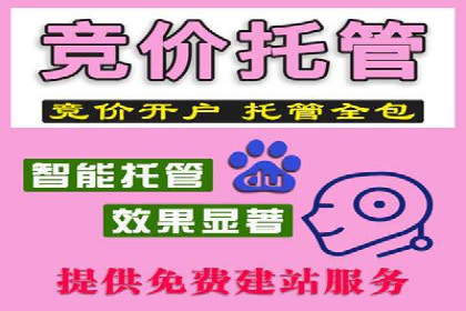 SEM广告案例：数据分析驱动营销决策