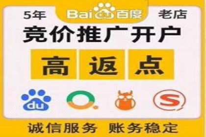 优化SEM广告投放：成功案例分享